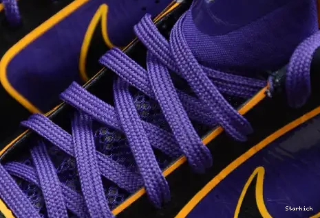 Protro 5 Kobe Nike Lakers CD4991-500 0630